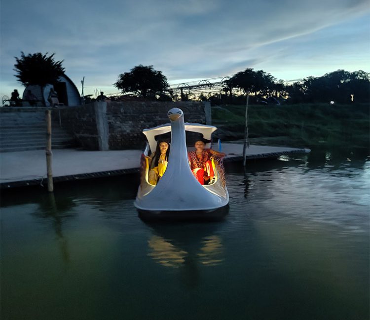 Swan-Paddle-Boats