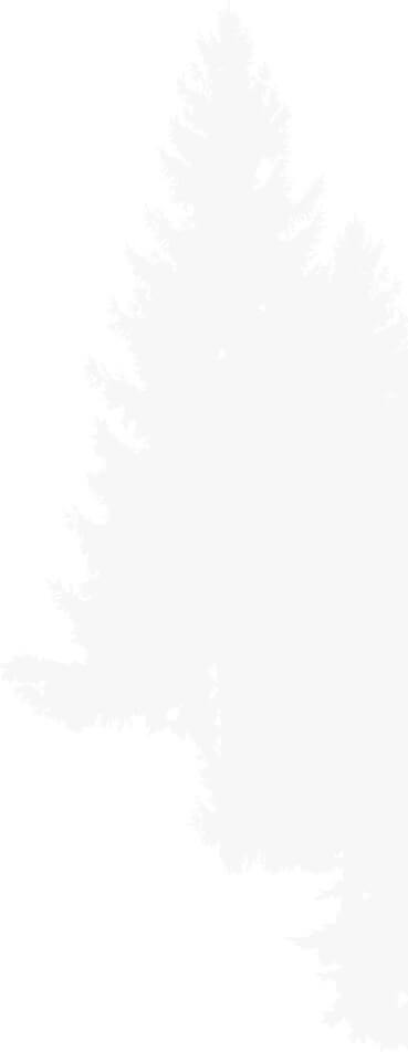 contact-pine-bg-2